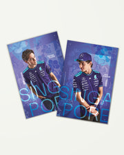 Special Edition Singapore Driver Cards