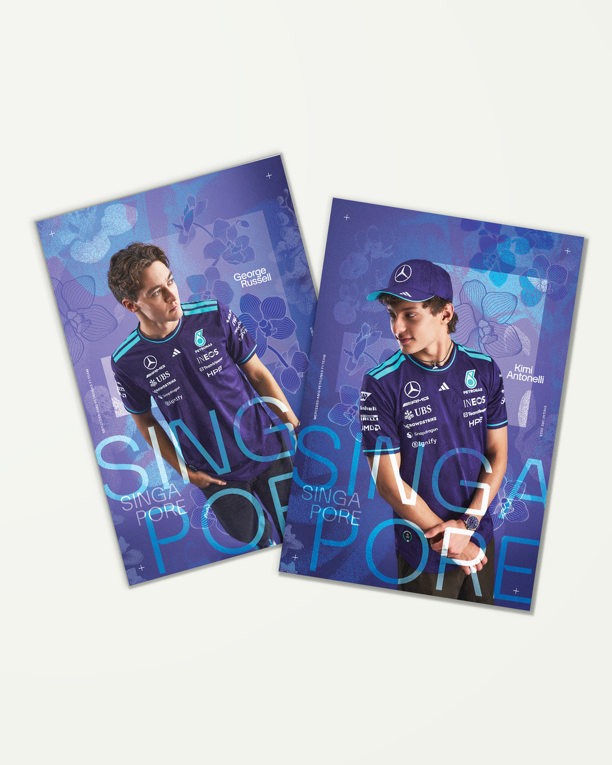 Special Edition Singapore Driver Cards