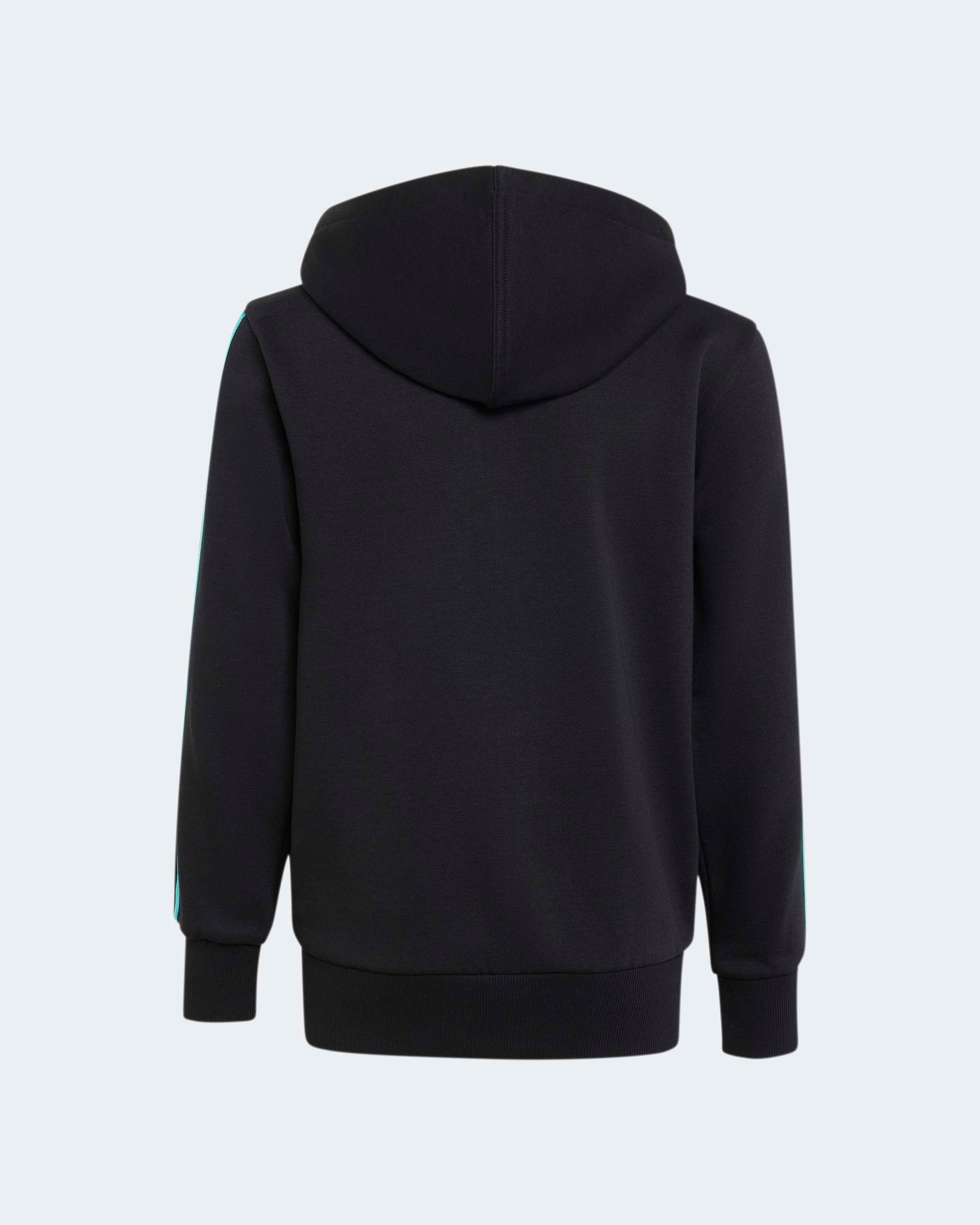 Mercedes-AMG PETRONAS F1 Team Kids DNA Full-Zip Hoody - Black