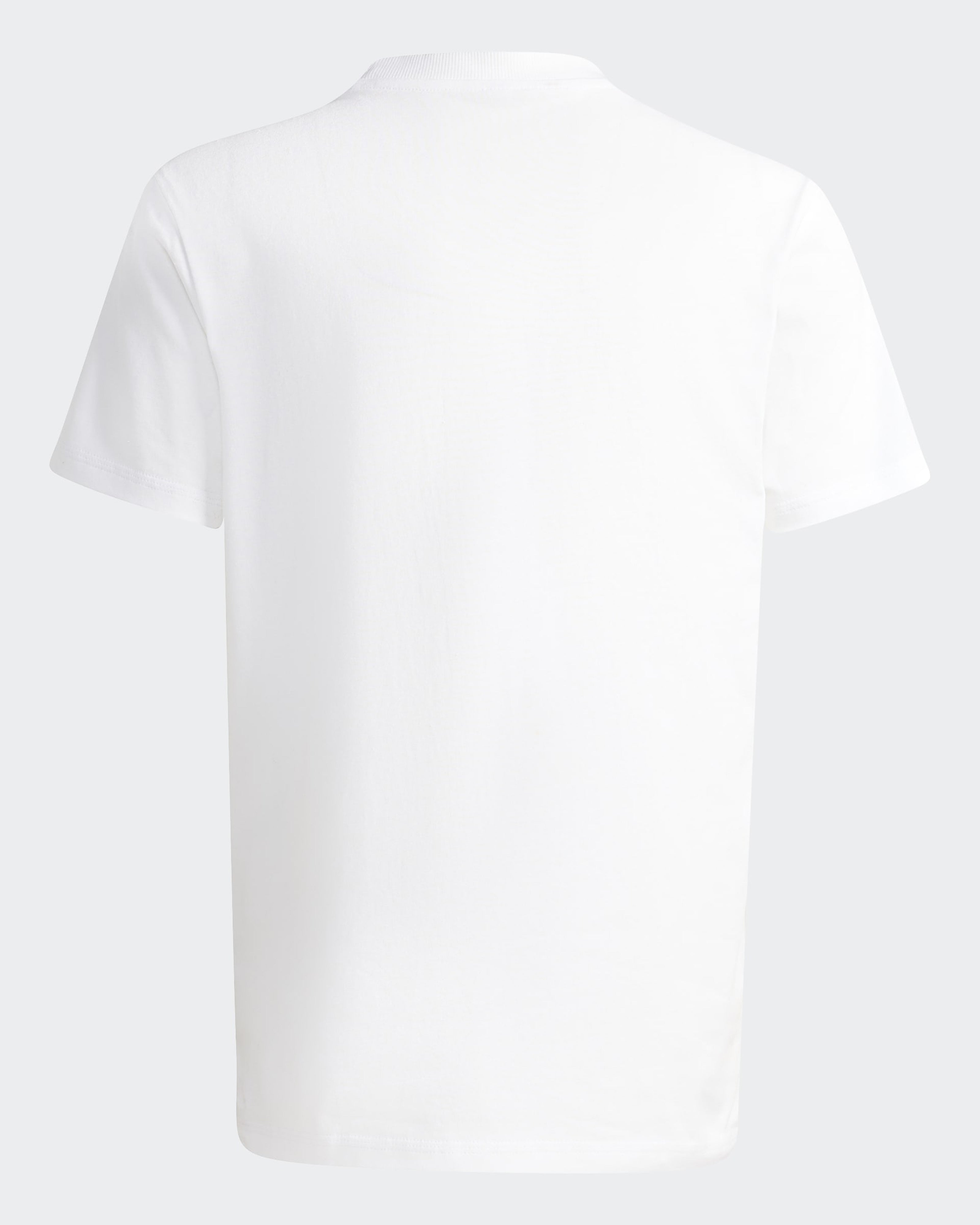 Mens Champions Graphic T-shirt White