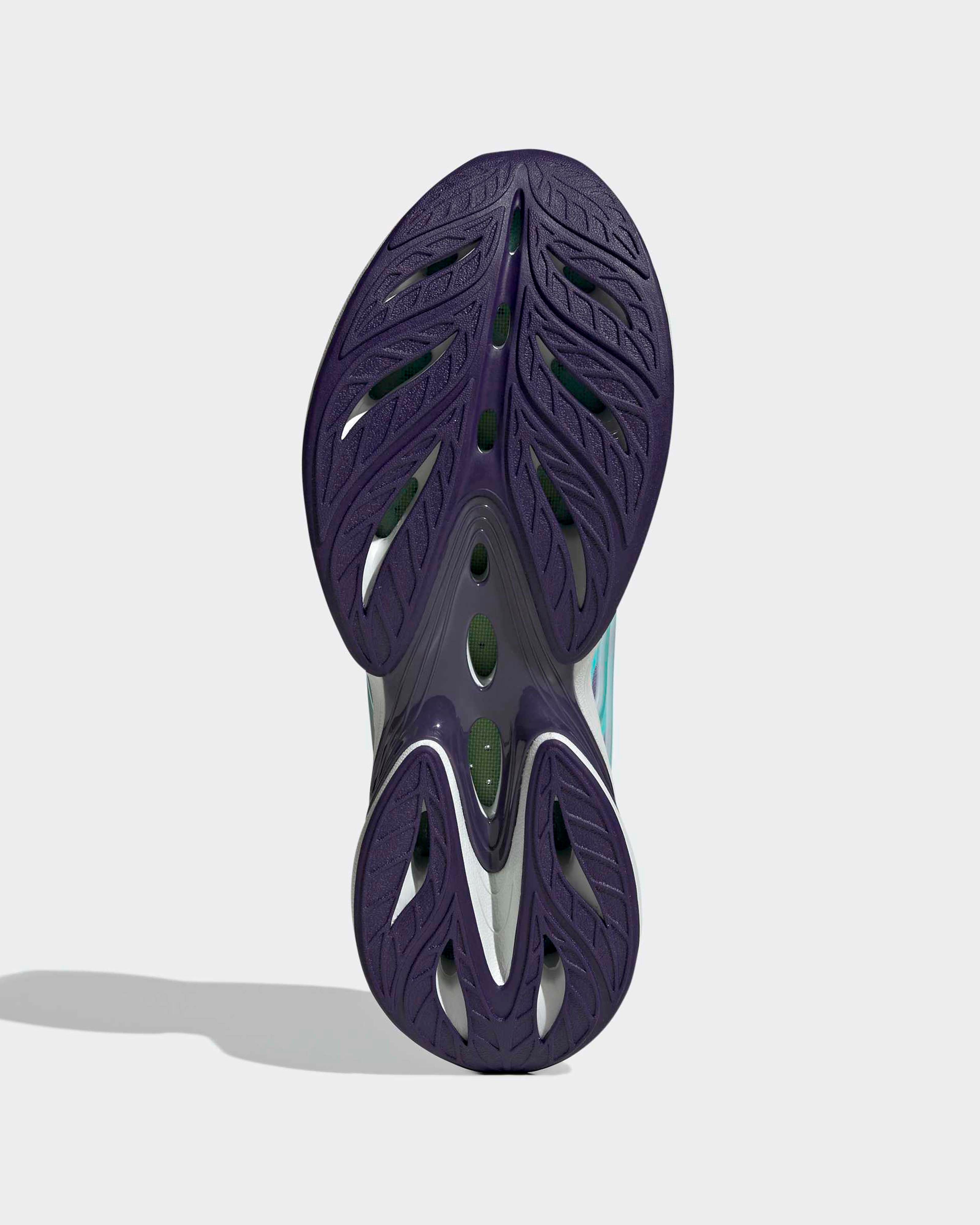 Mens Climacool Spw Shoes Purple