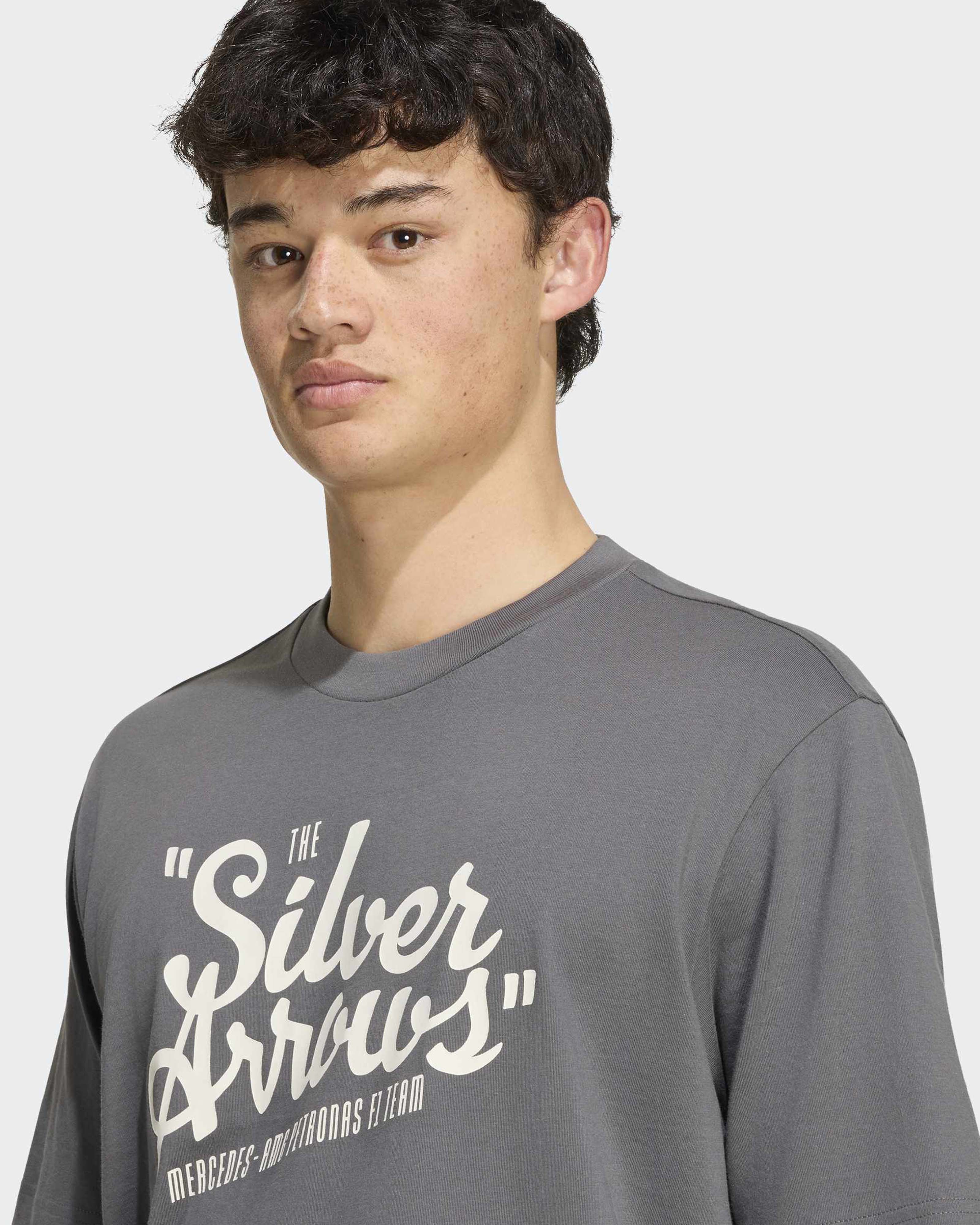 Mercedes-AMG PETRONAS F1 Team Men's Silver Arrows T-shirt - Grey