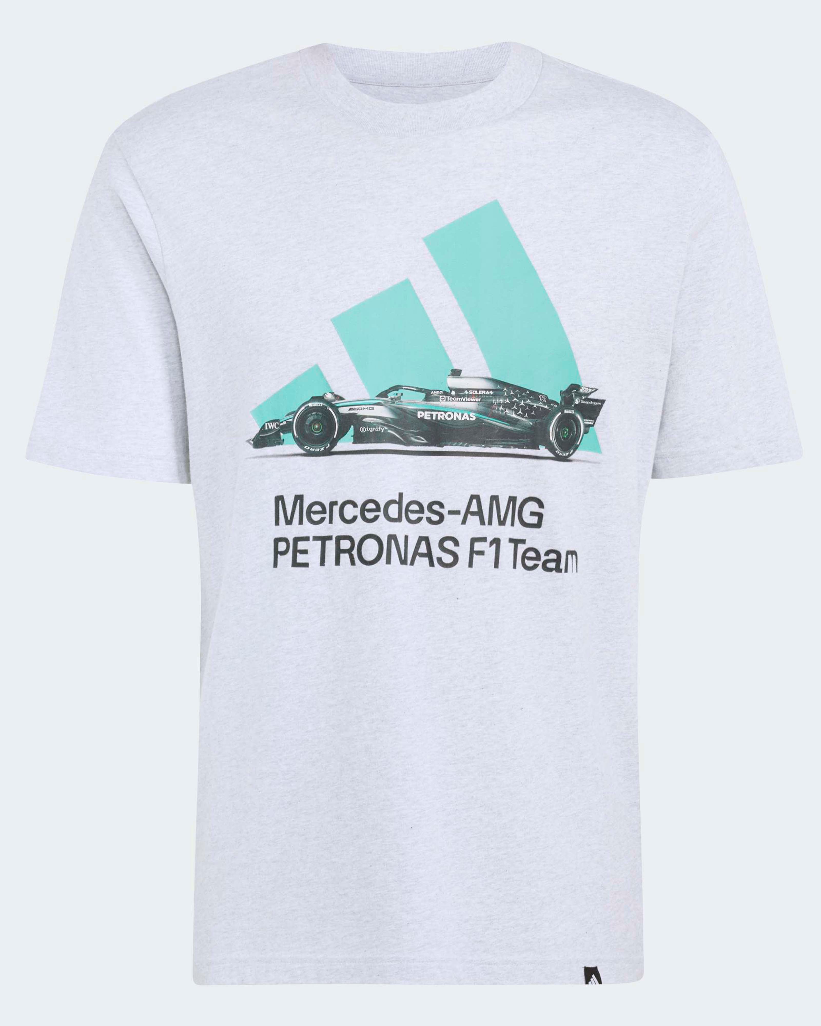 Mercedes-AMG PETRONAS F1 Team Men's Graphic T-shirt - Grey (2026