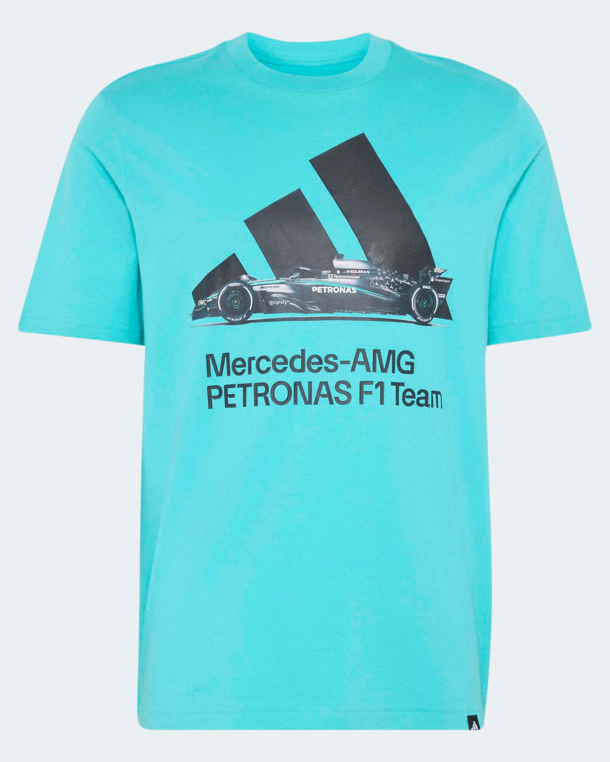Mens Graphic T-shirt Teal