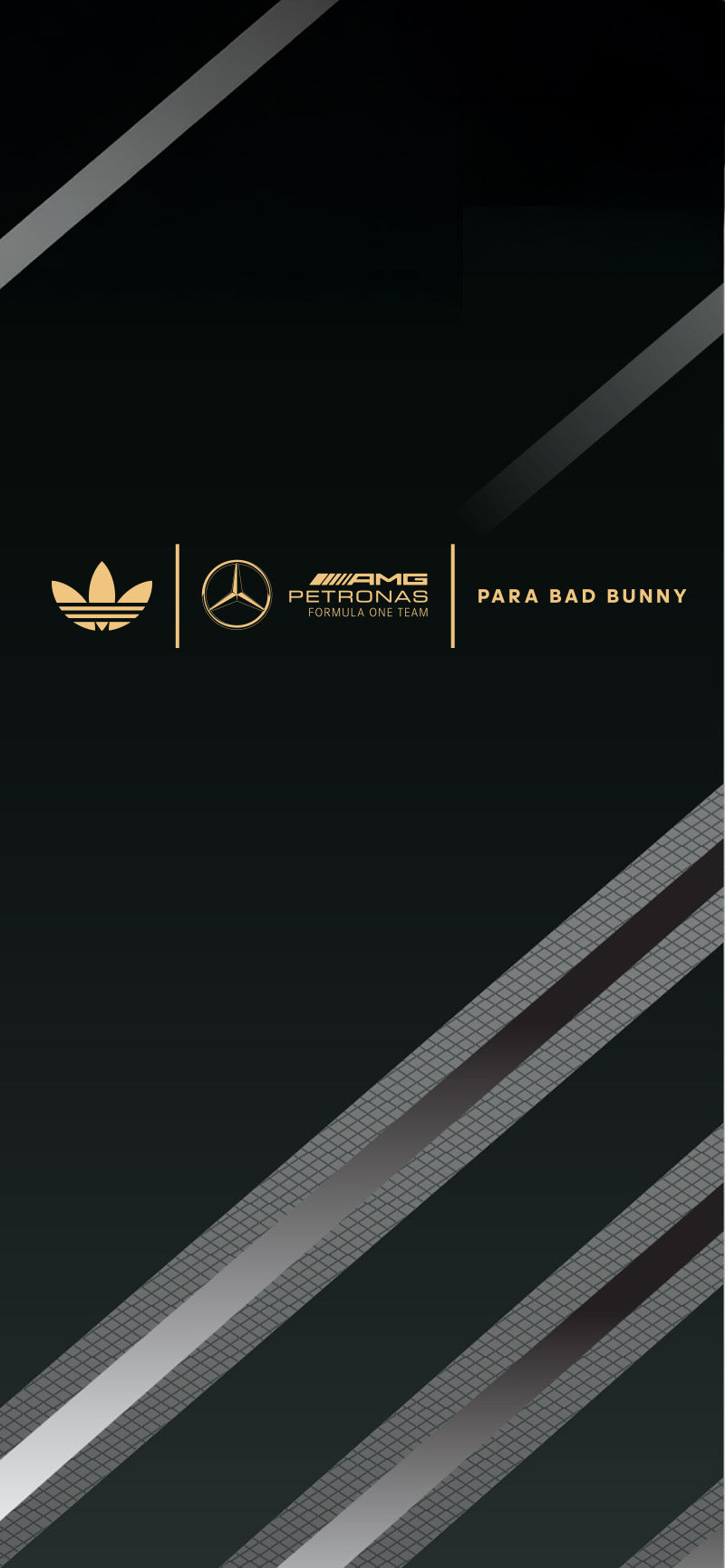 Official Mercedes-AMG PETRONAS F1 Team Store